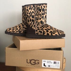 New In Box Classic Short Cheetah Ugg Boots